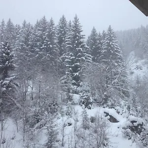 La Tania 73120 Appartement
